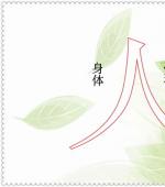 青少年性保健知识